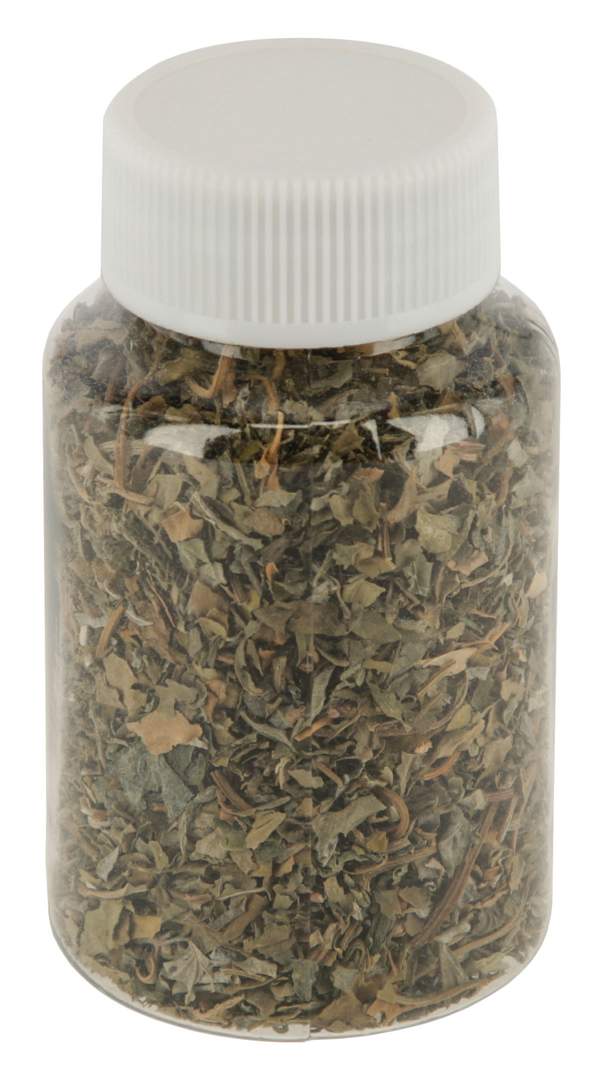 Catnip - Image 1