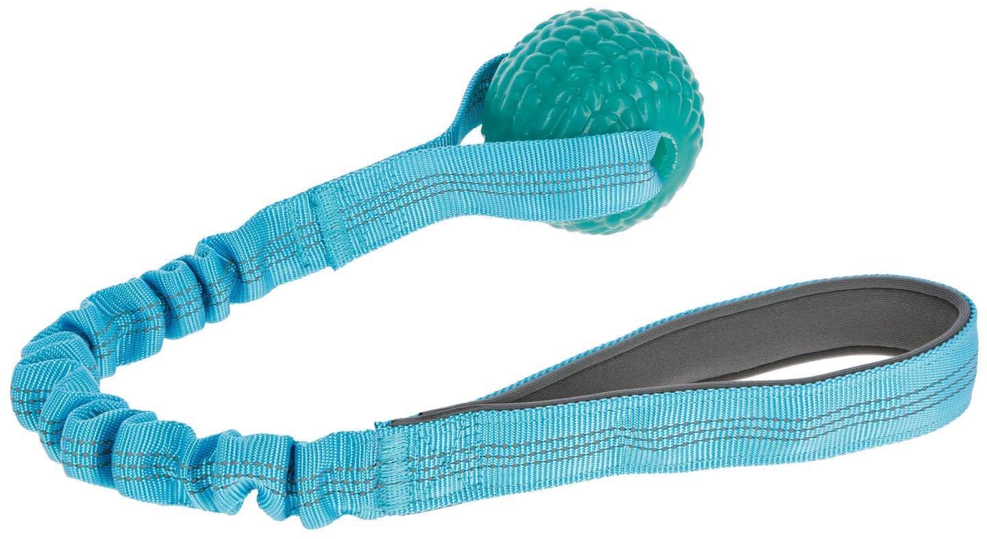 Bungee Toy - Image 1