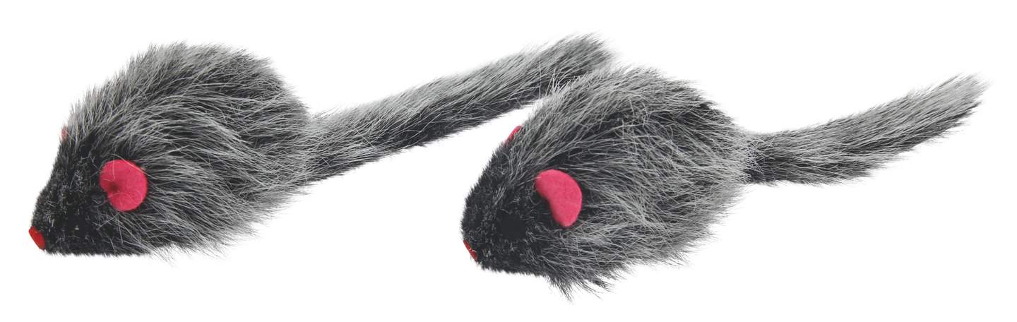 Furry Mouse Langhaar - Image 1
