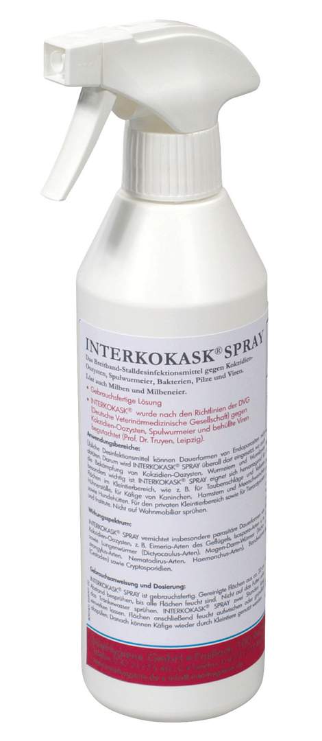 Disinfectant INTERKOKASK® - Image 1