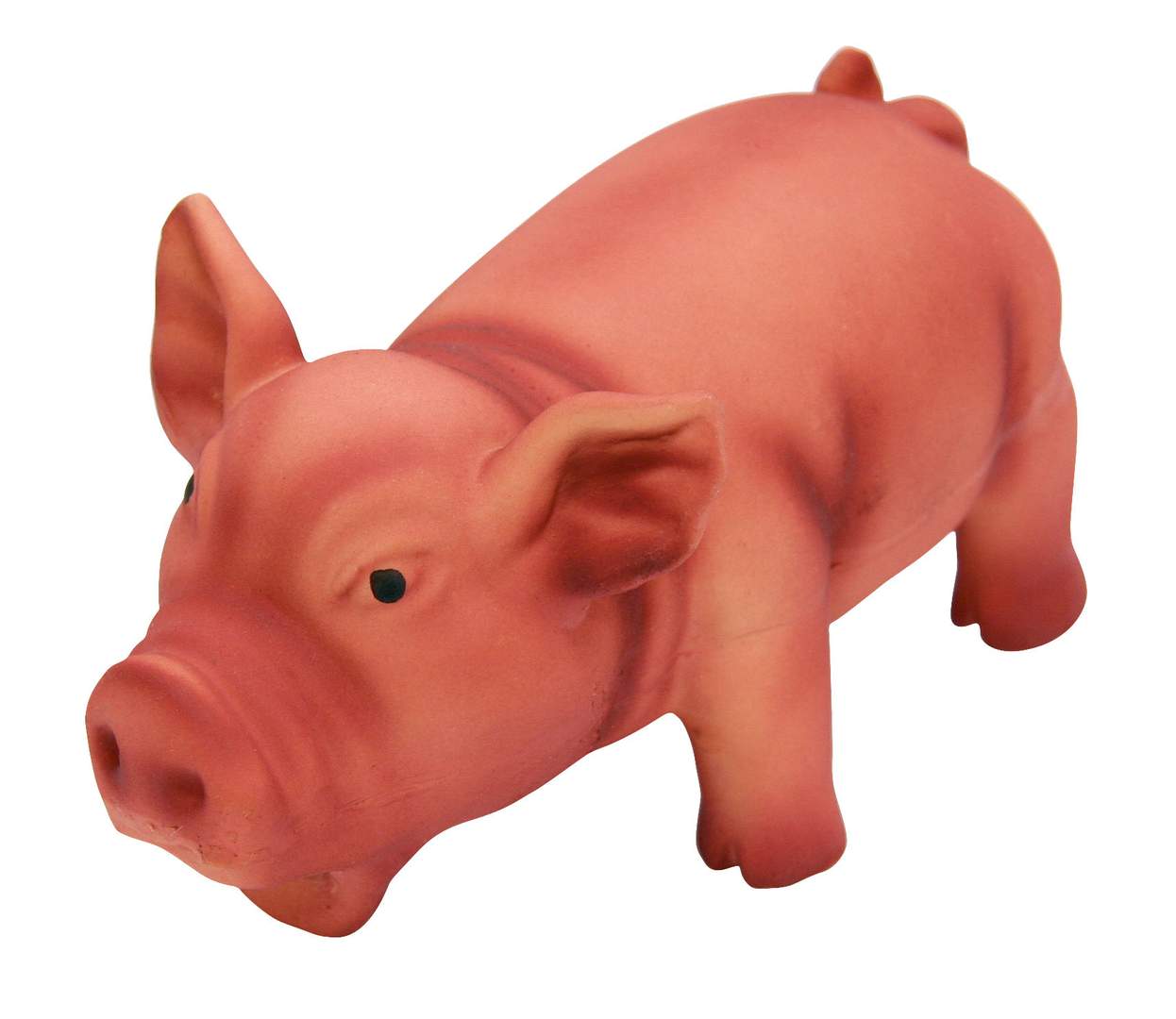 Pigs - Image 1
