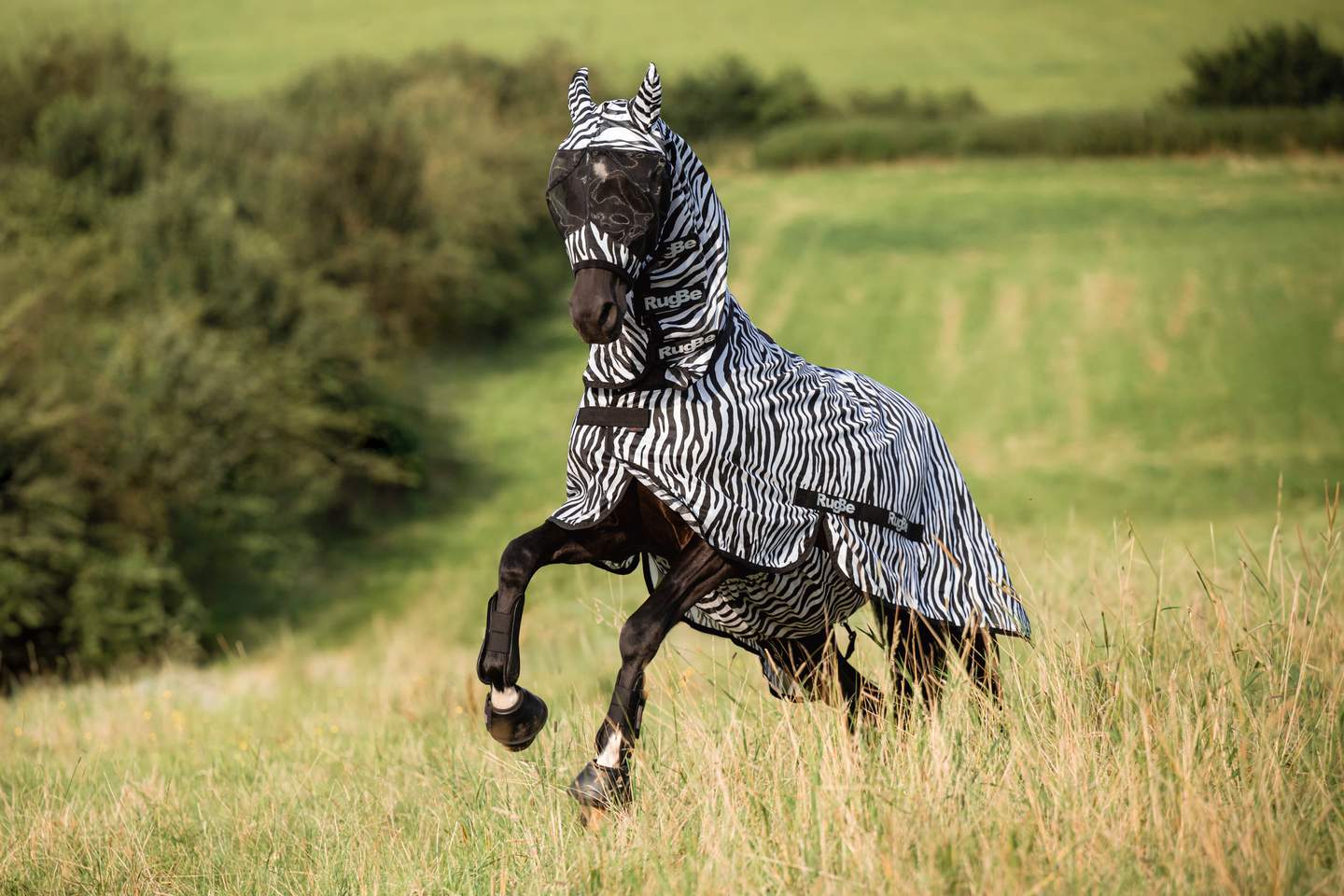Fliegenschutzmaske Zebra mit Ohrenschutz - Bild 1