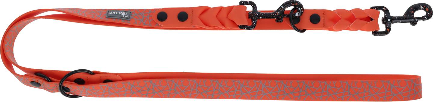 Training Leash Puno - Image 1