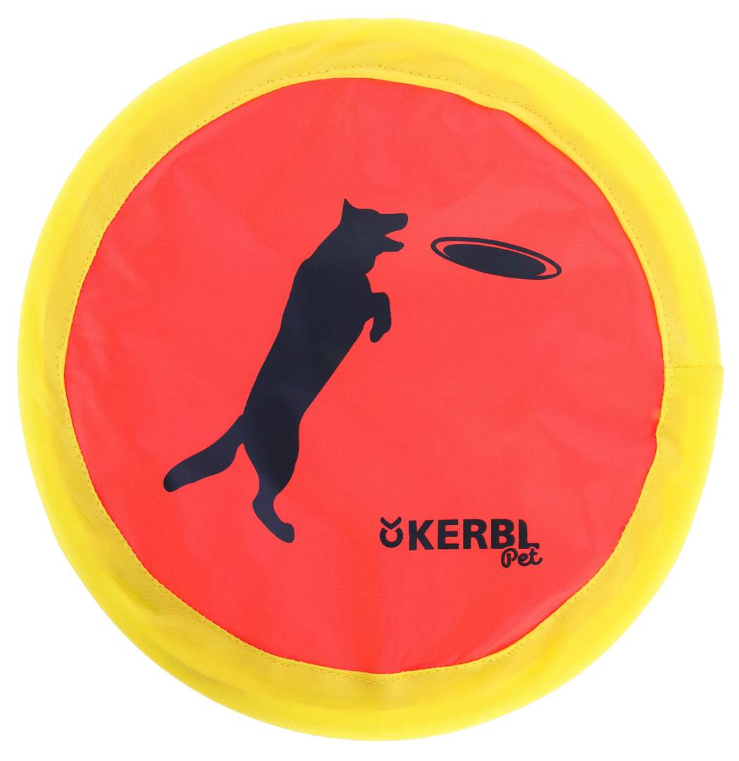 Frisbee - Image 1