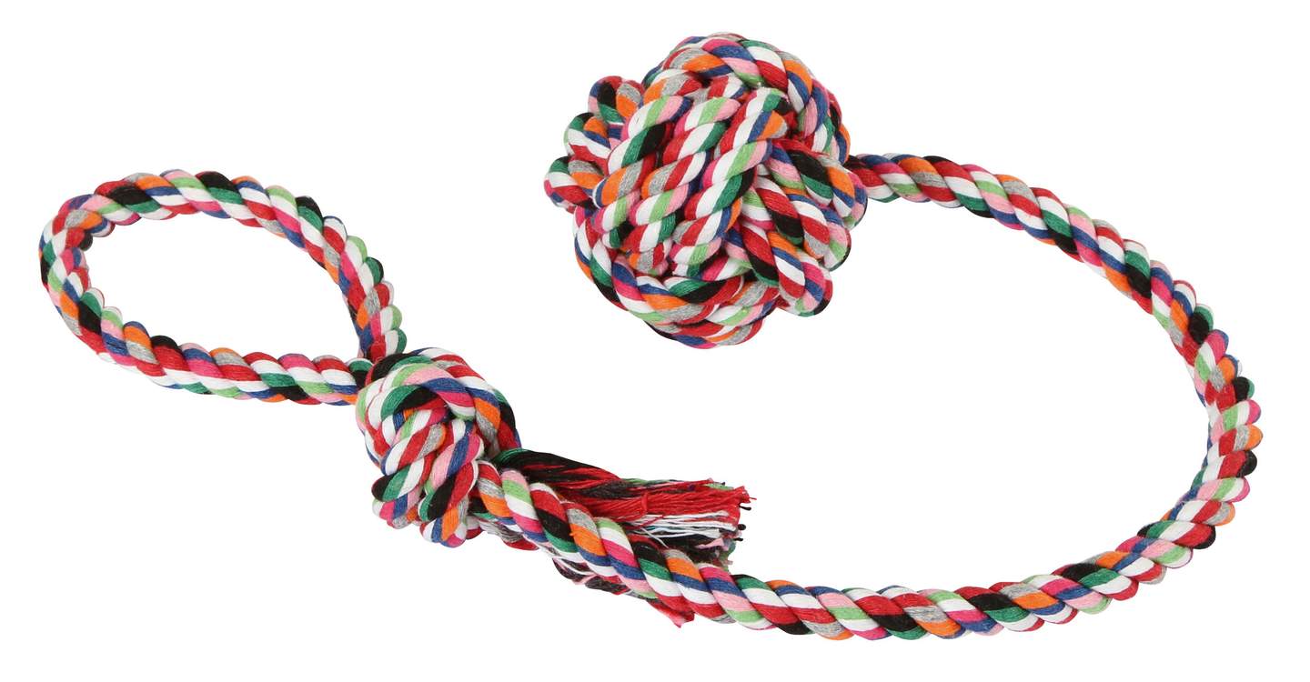Ball on a Rope - Image 1