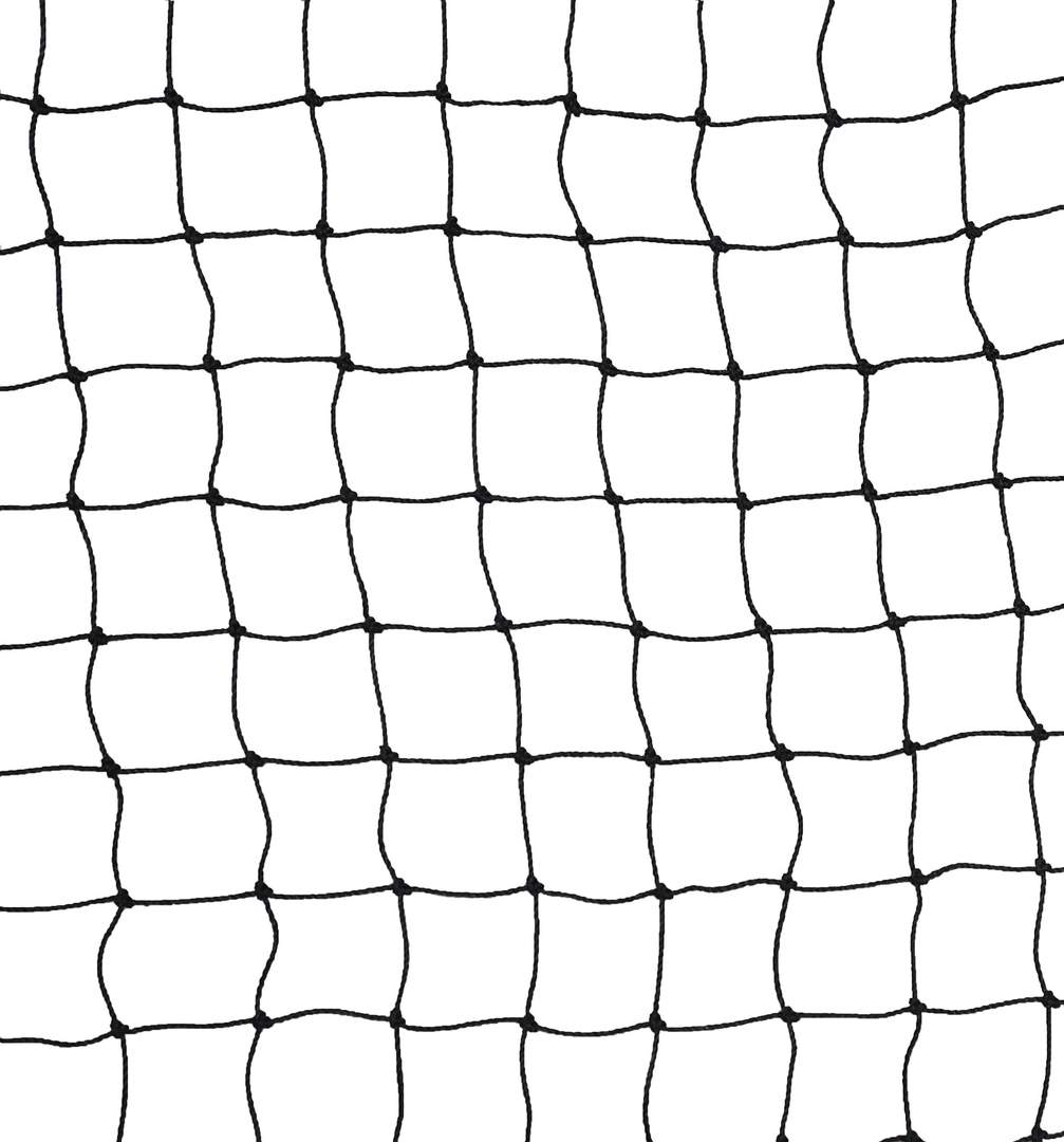 Universal Safety Net - Image 1