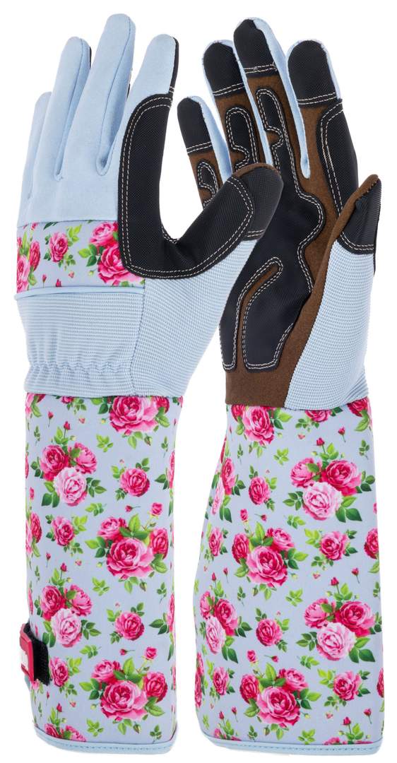 Garden Glove Rose Garden - Image 1