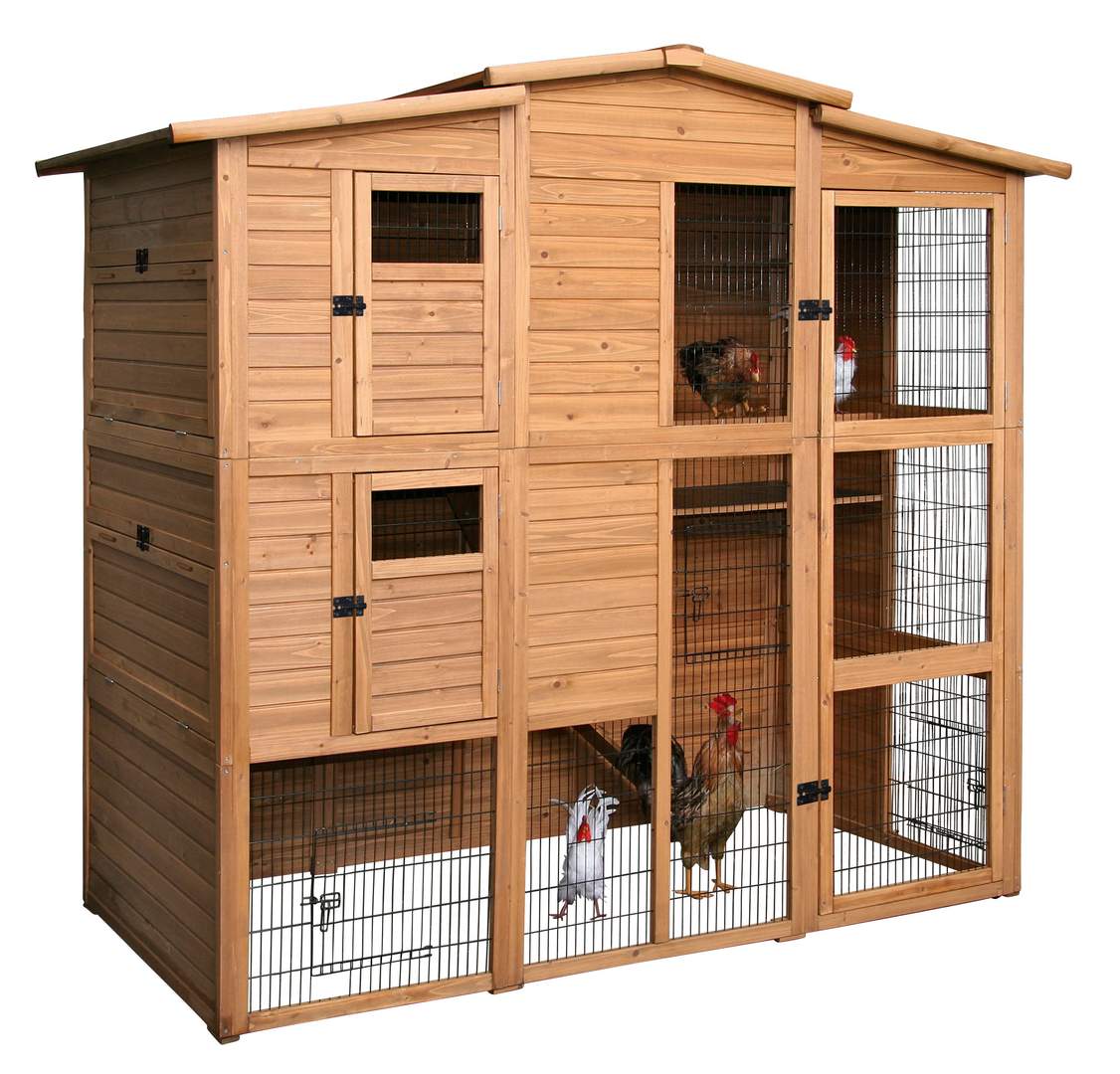 Hen House - Image 1
