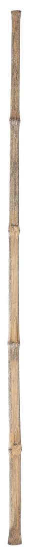 Bamboo Stem for Brush-head Broom - Image 1