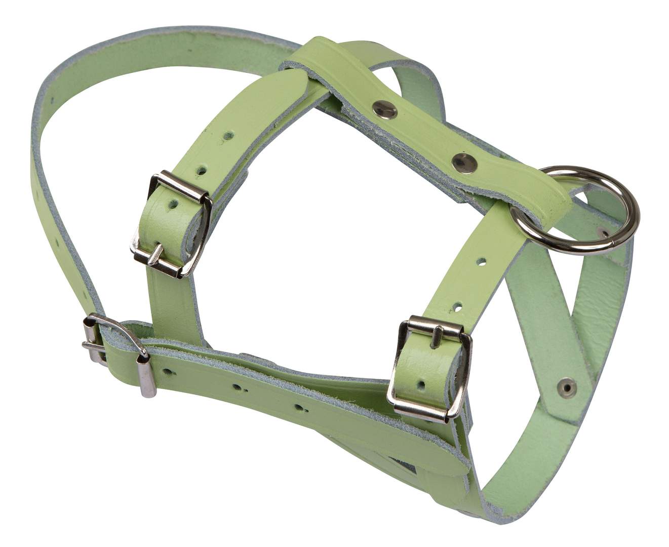 Head Halter - Image 1