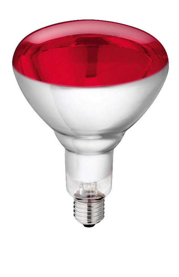 Philips Infrarot-Hartglaslampe - Bild 1
