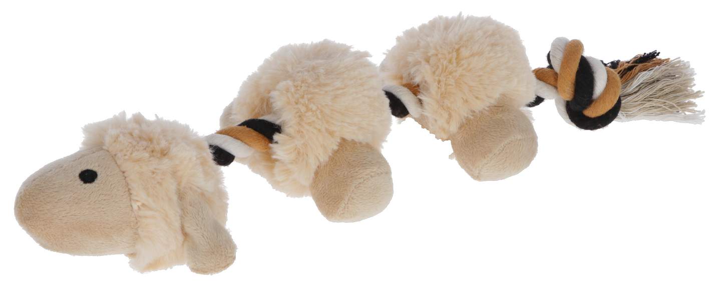 Lamb Shaggy - Image 1