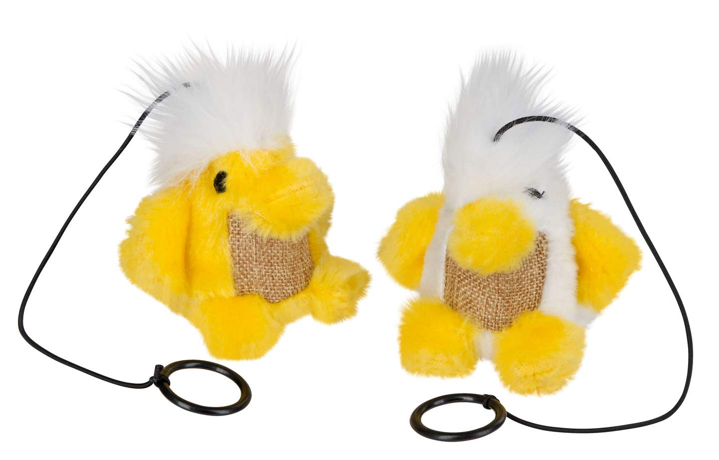 Birds Chico - Image 1