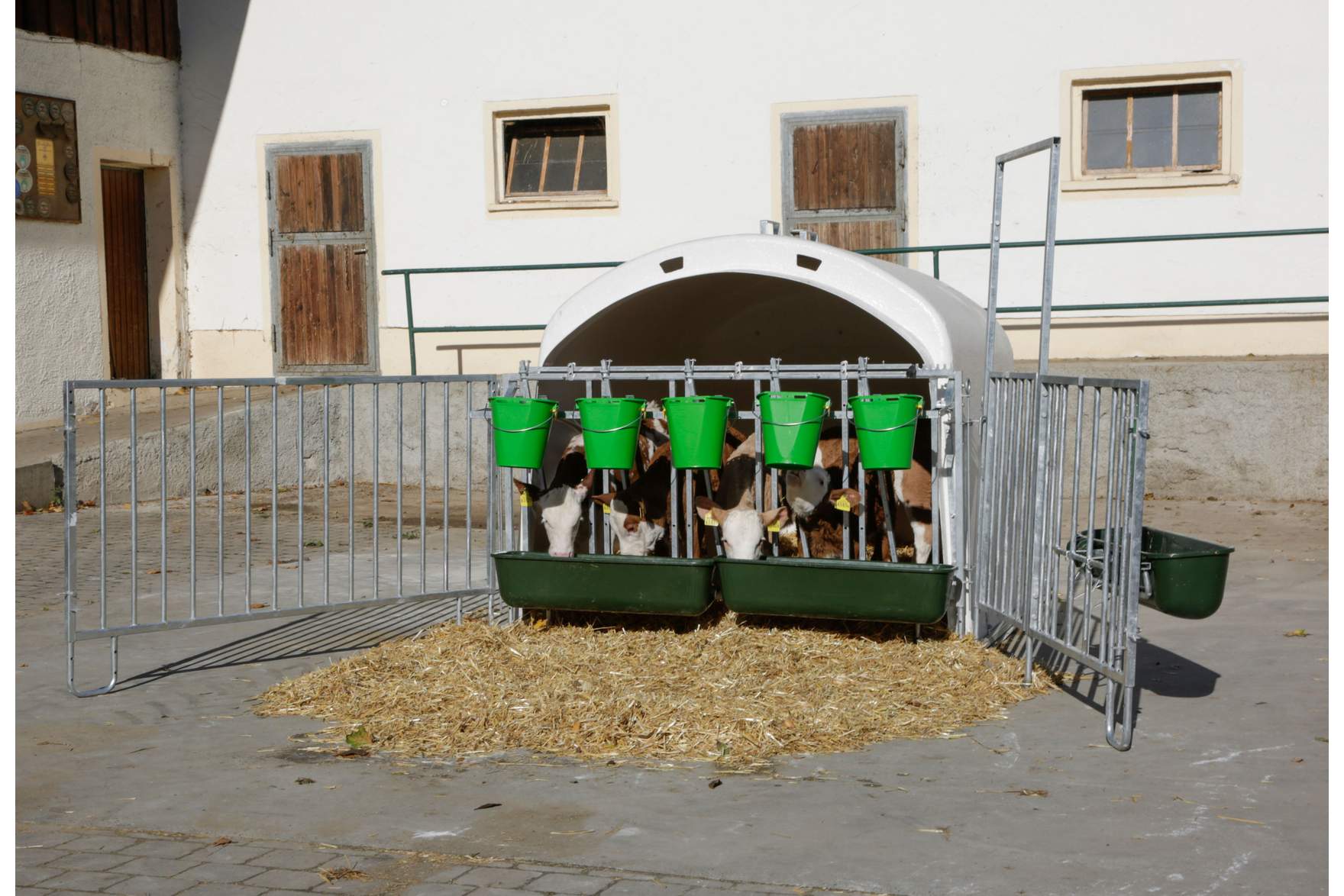 CalfHouse Premium XL - Fanggittersystem mit Eimer