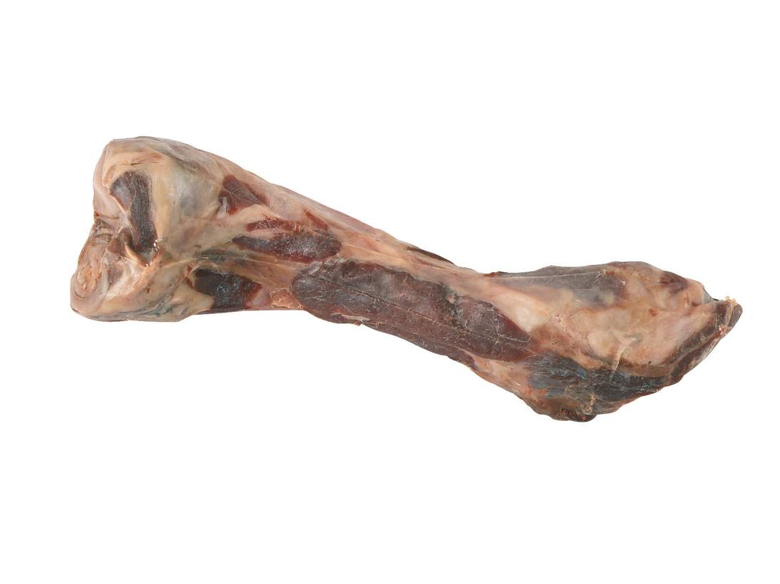 Italian Bacon Bone