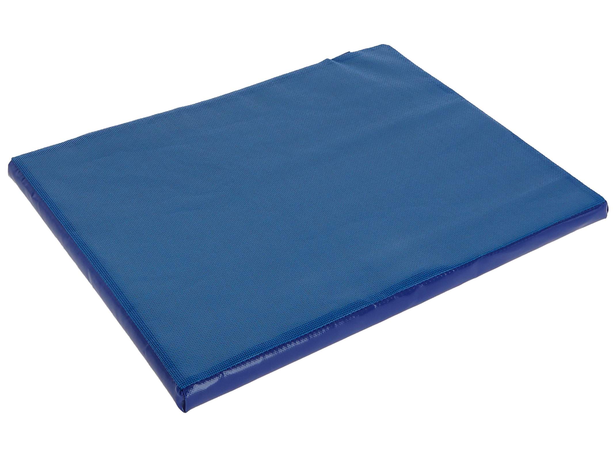 Disinfection Mat
