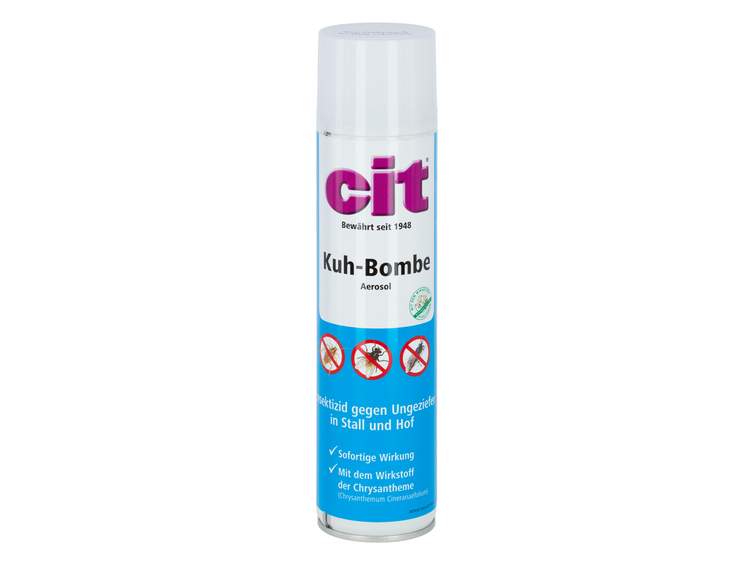 cit Kuhbombe