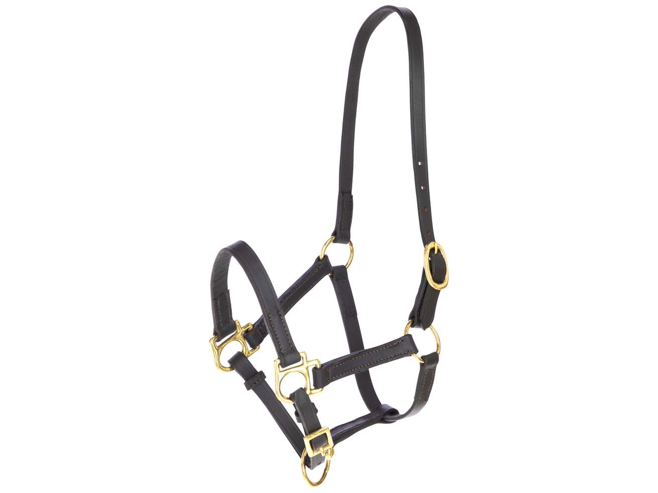 Foal Head-Collar Eco