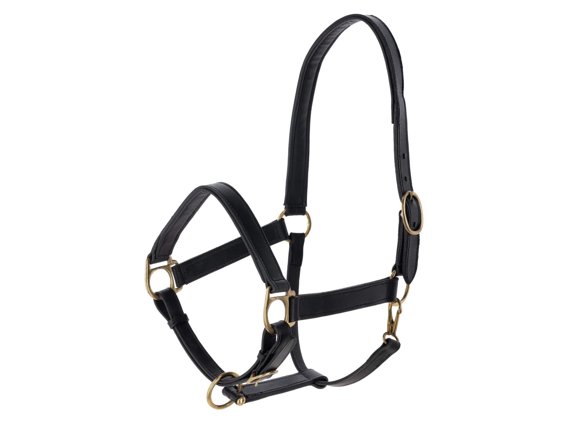 Halter Eco