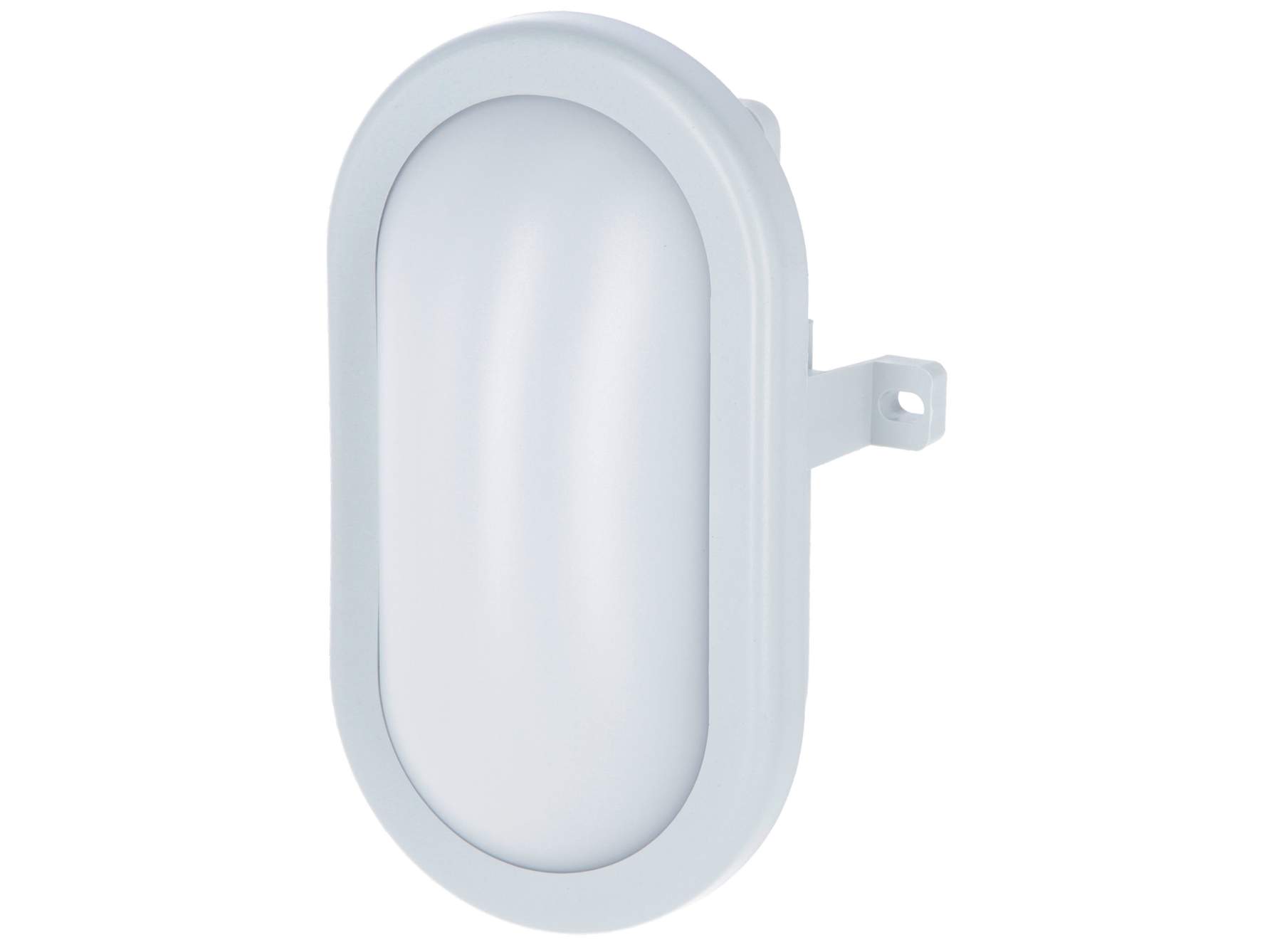 LED Oval Light