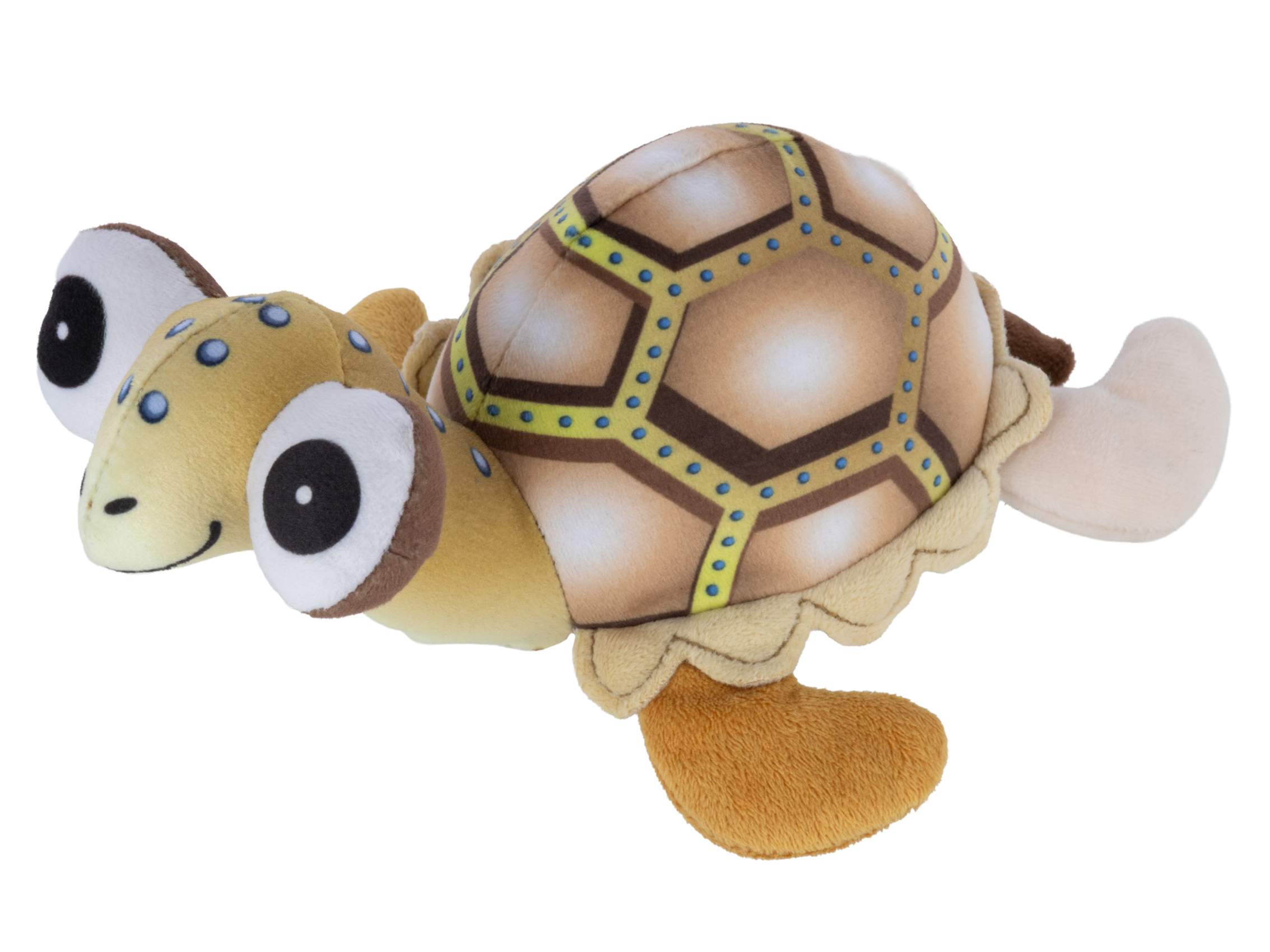 Schildkröte Alois
