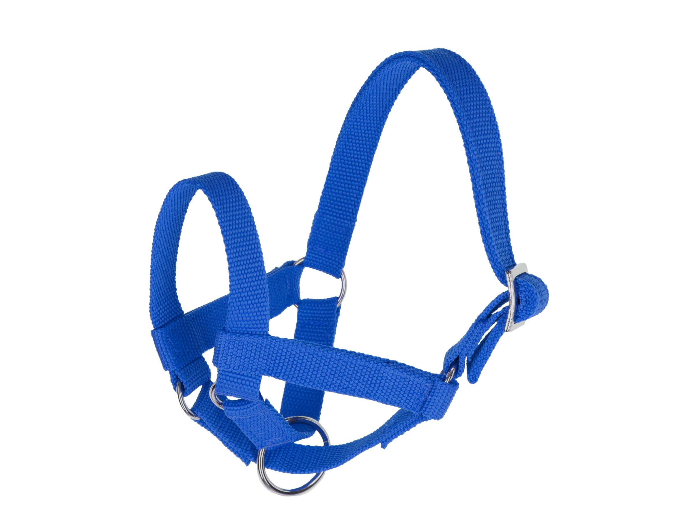 Lama Halter