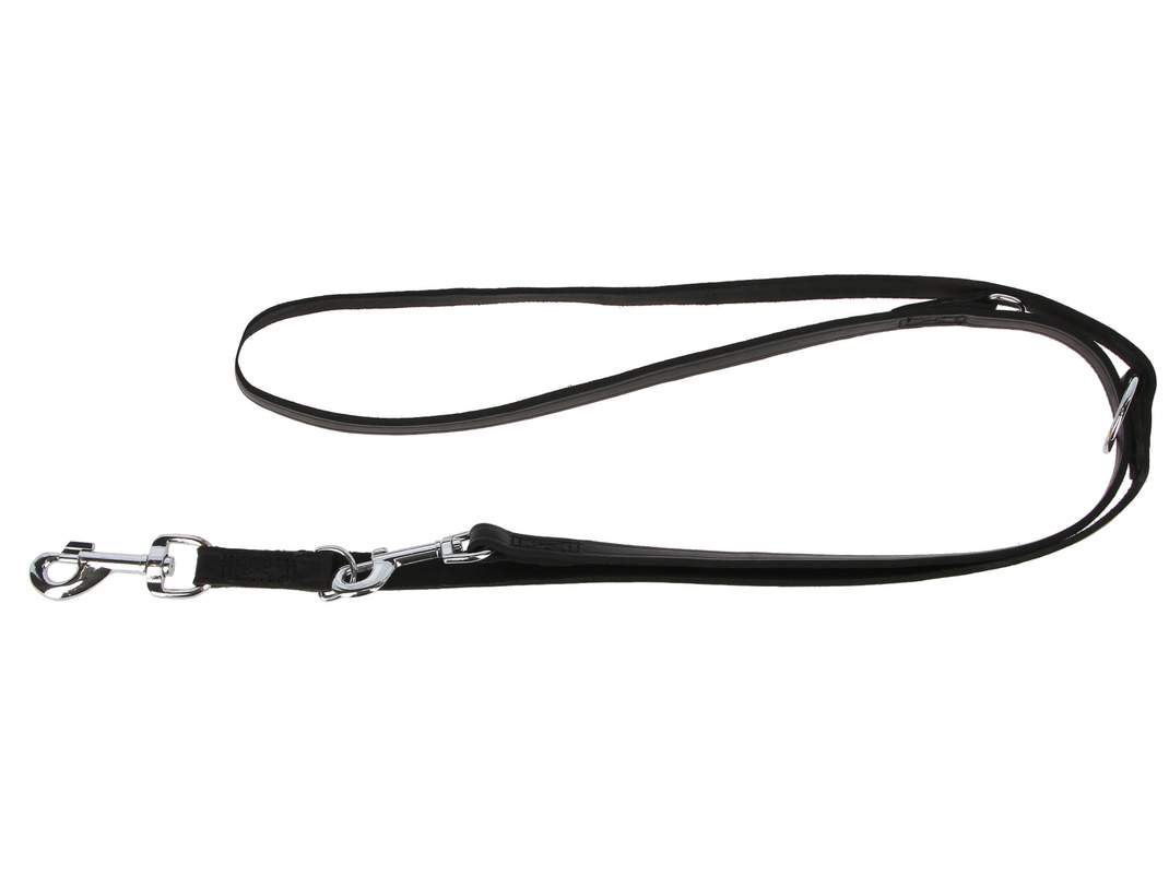 Training Leash Vegas