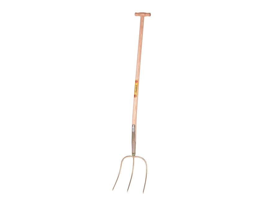 Gabel Abt Standard