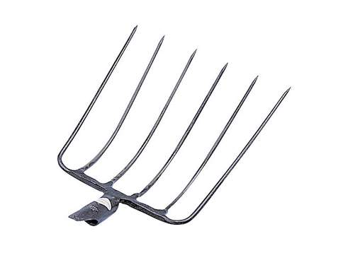 Corn Fork