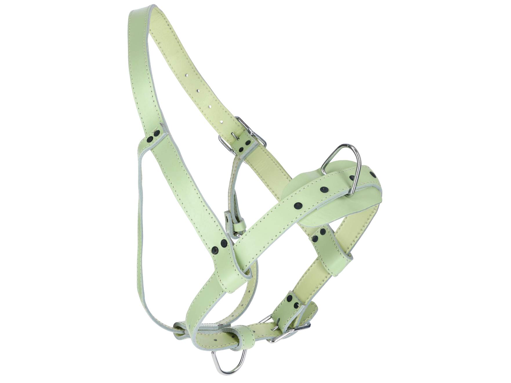 Bull Halter