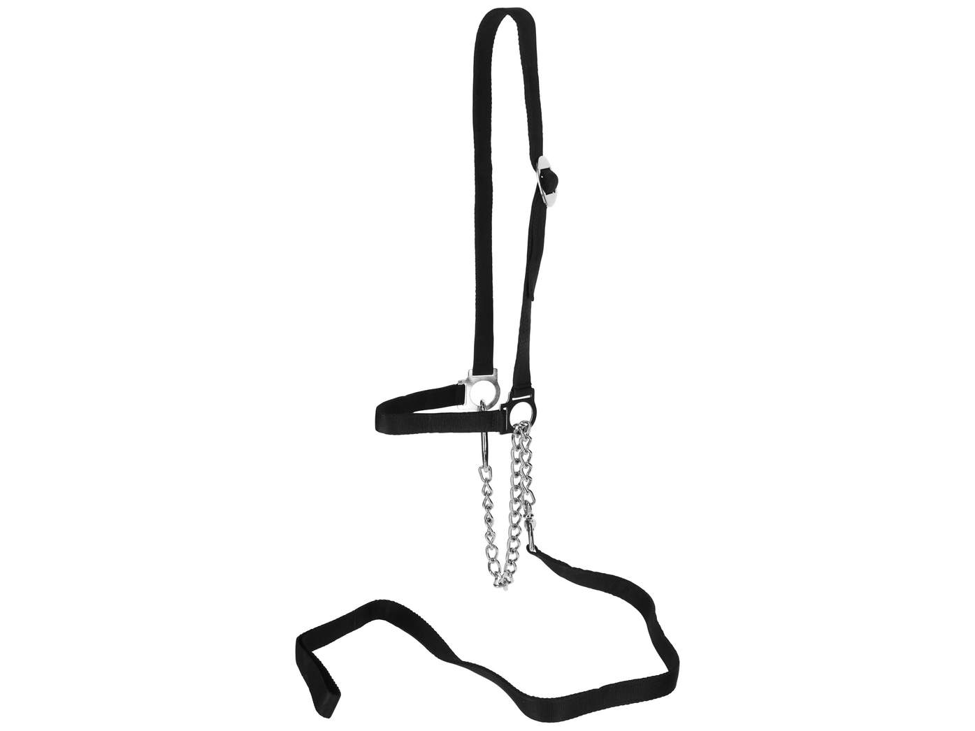 Bridle