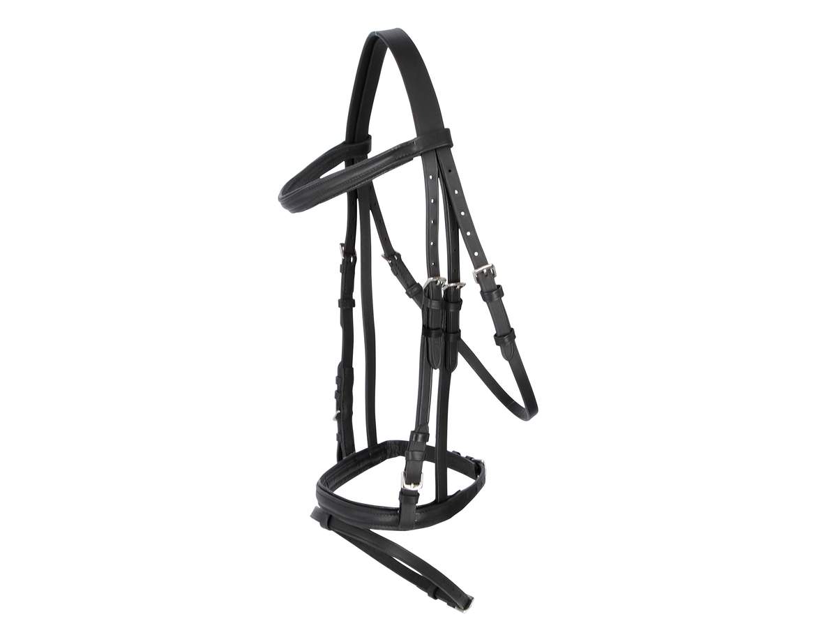 Snaffle Standard