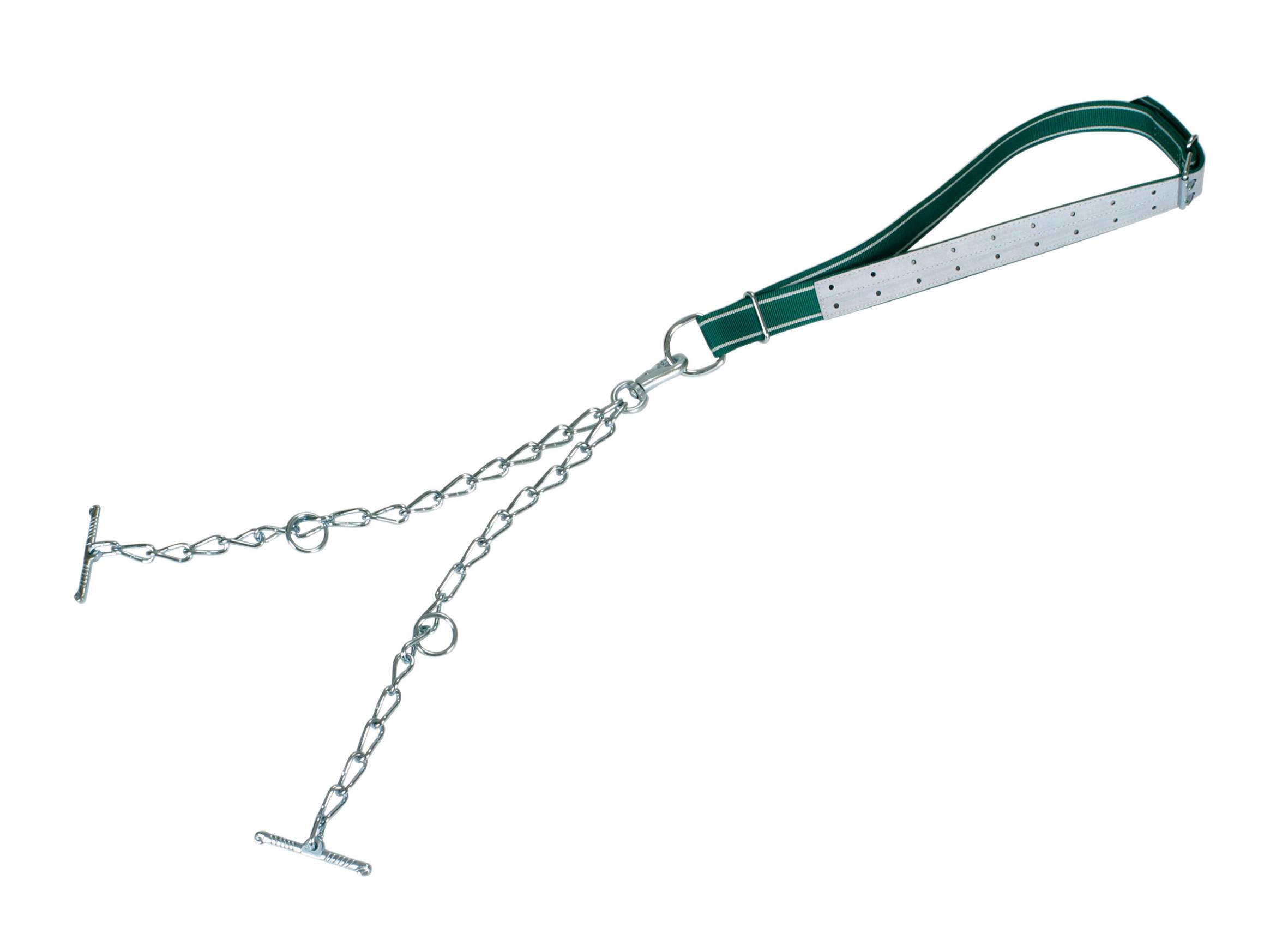 Young Bull Tethering Standard