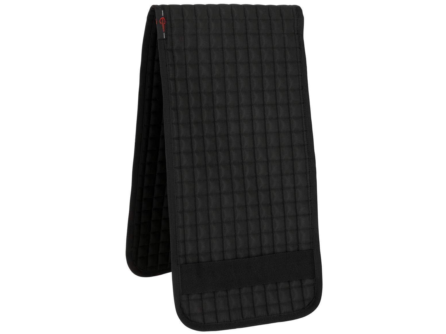 Lunging Pad