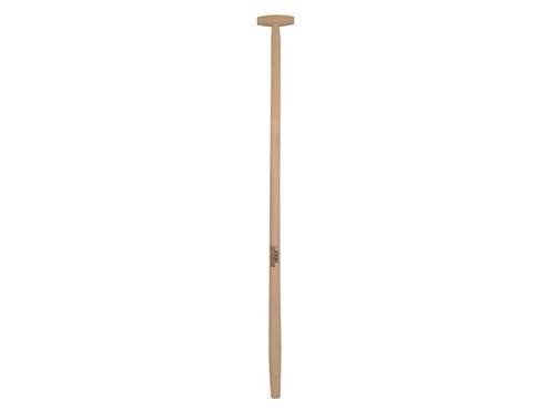 Schaufelstiel