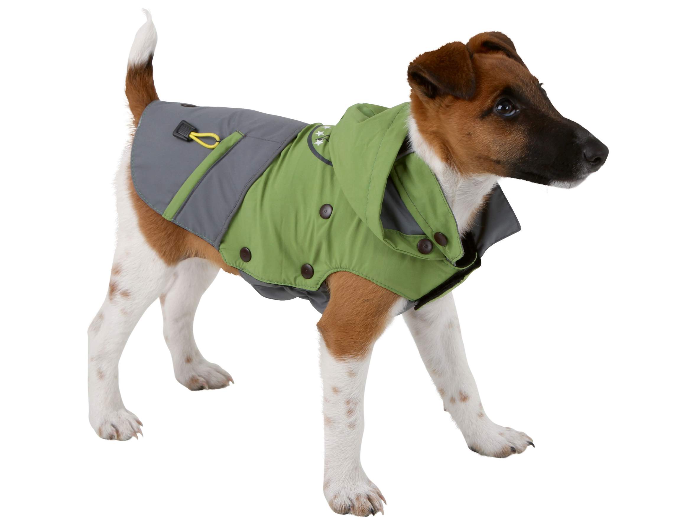 Dog Coat Vancouver