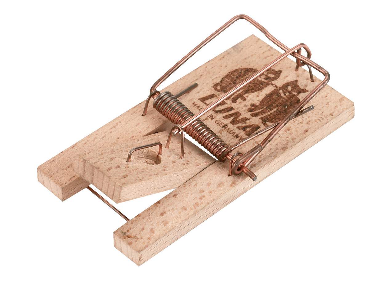 cit Mousetrap Luna