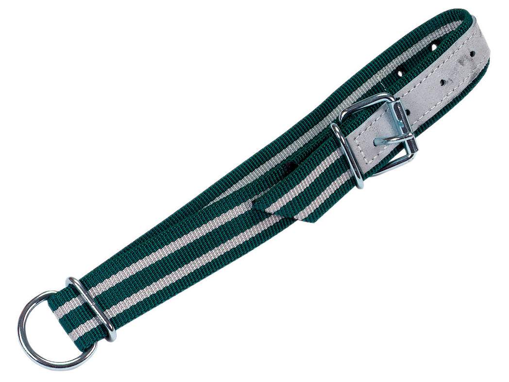 Collar with Oval Link and D-ring