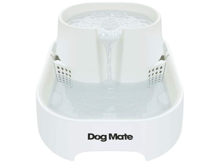 Drinking Fountain