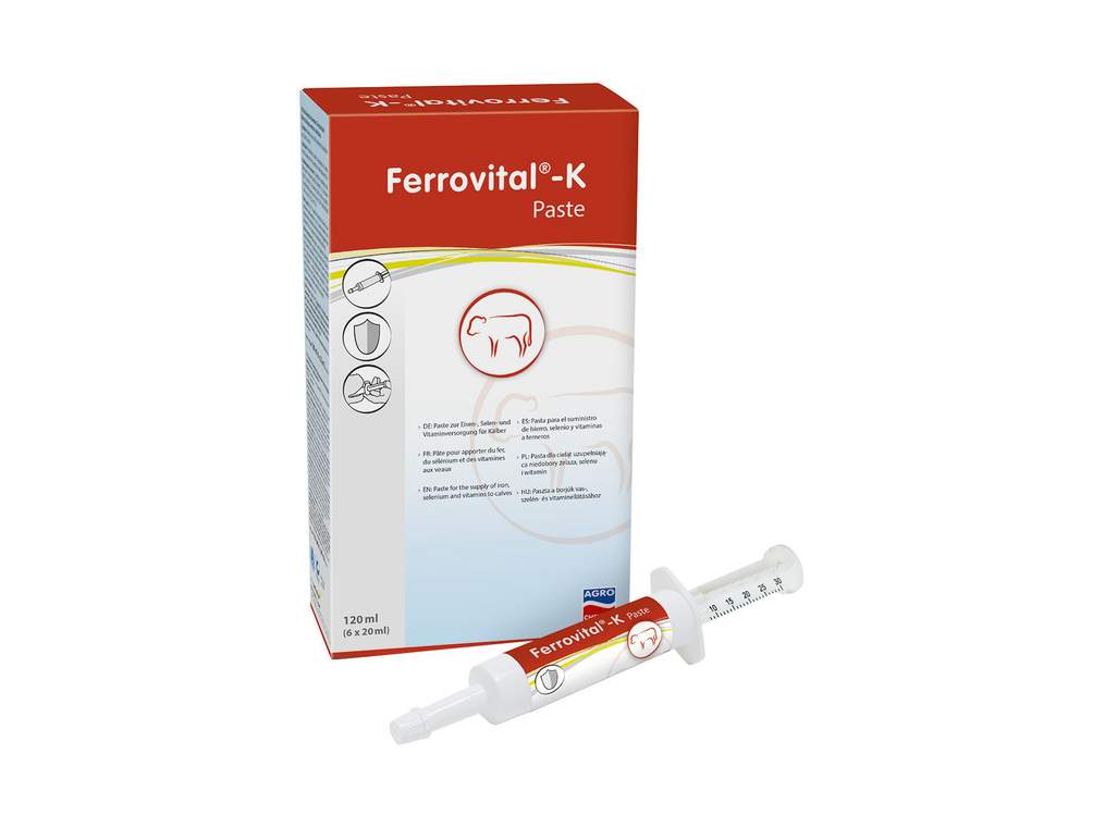 Paste Ferrovital®-K