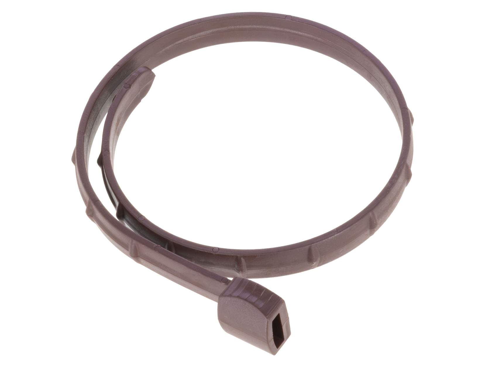 Bug Collar for Cats