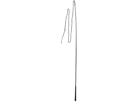 Lunging Whip