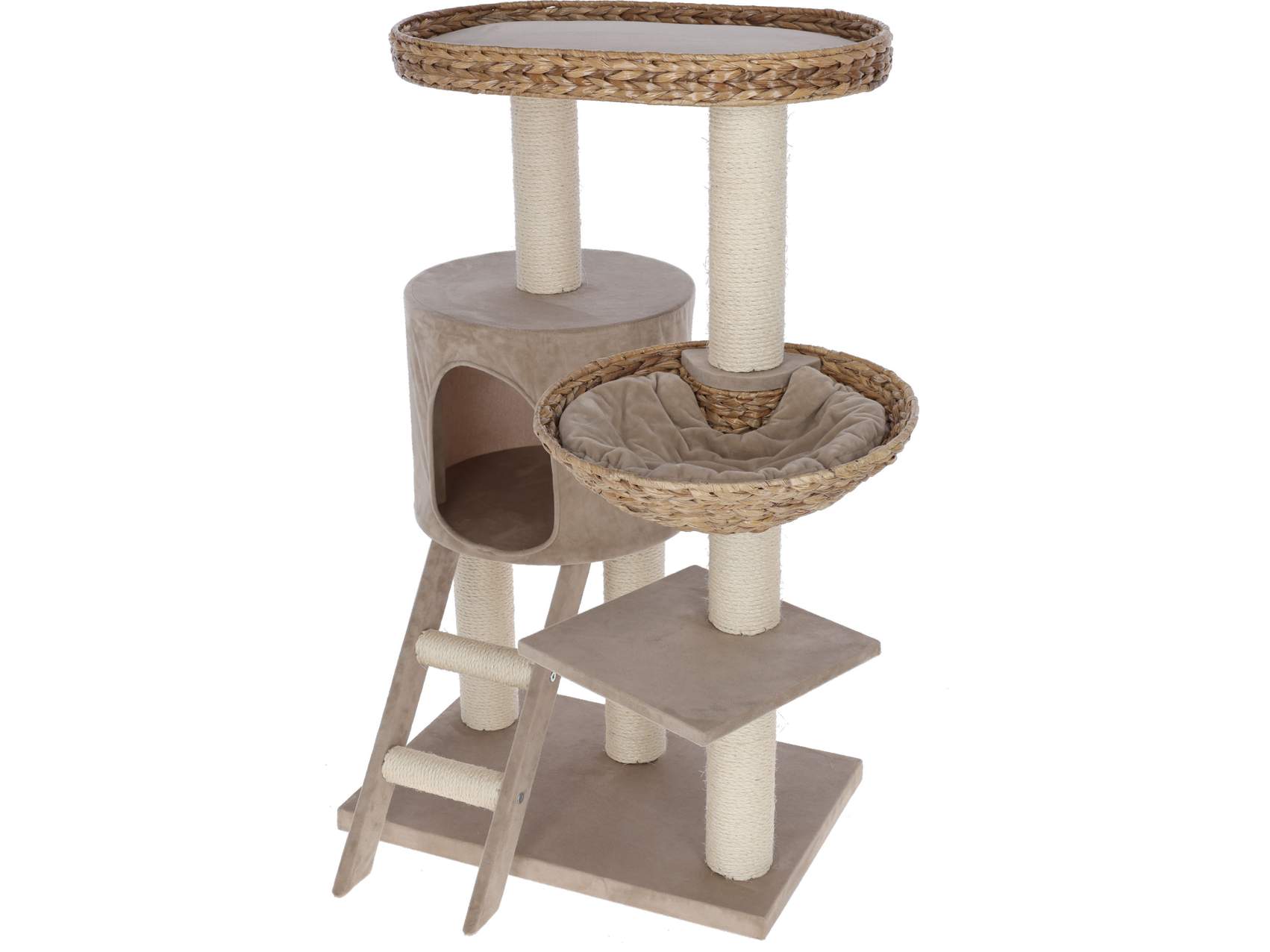 Cat Tree Banana Leaf Waxy