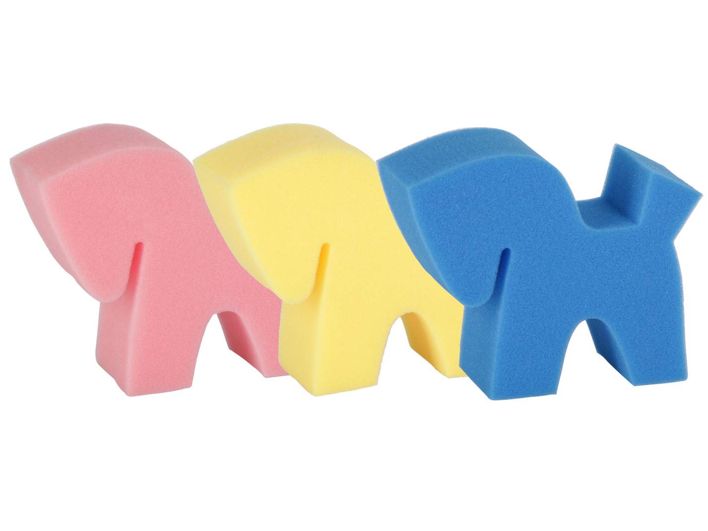 Sponge Flecki