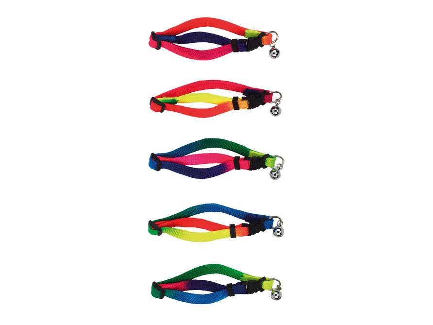 Katzenhalsband Rainbow