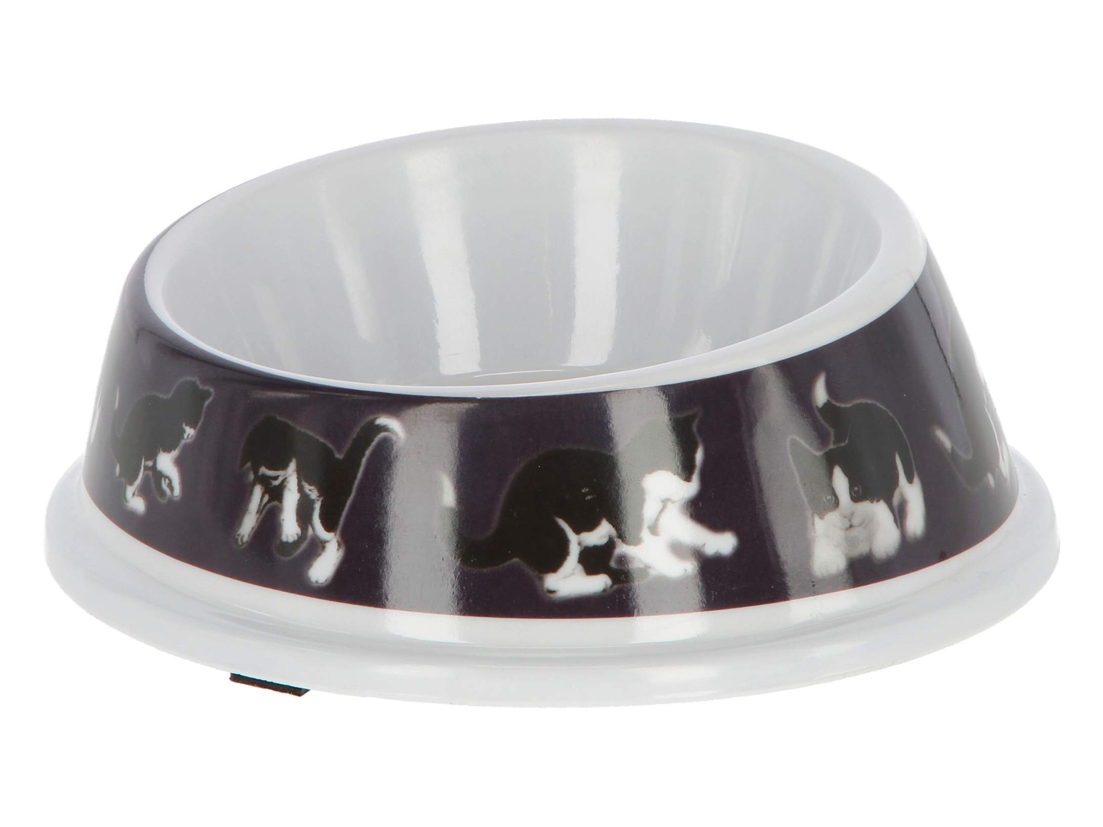 Plastic Bowl