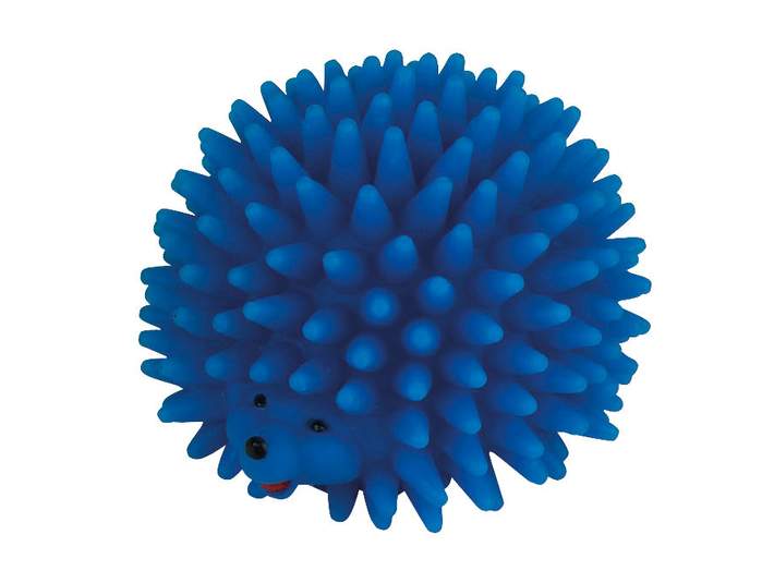 Igel