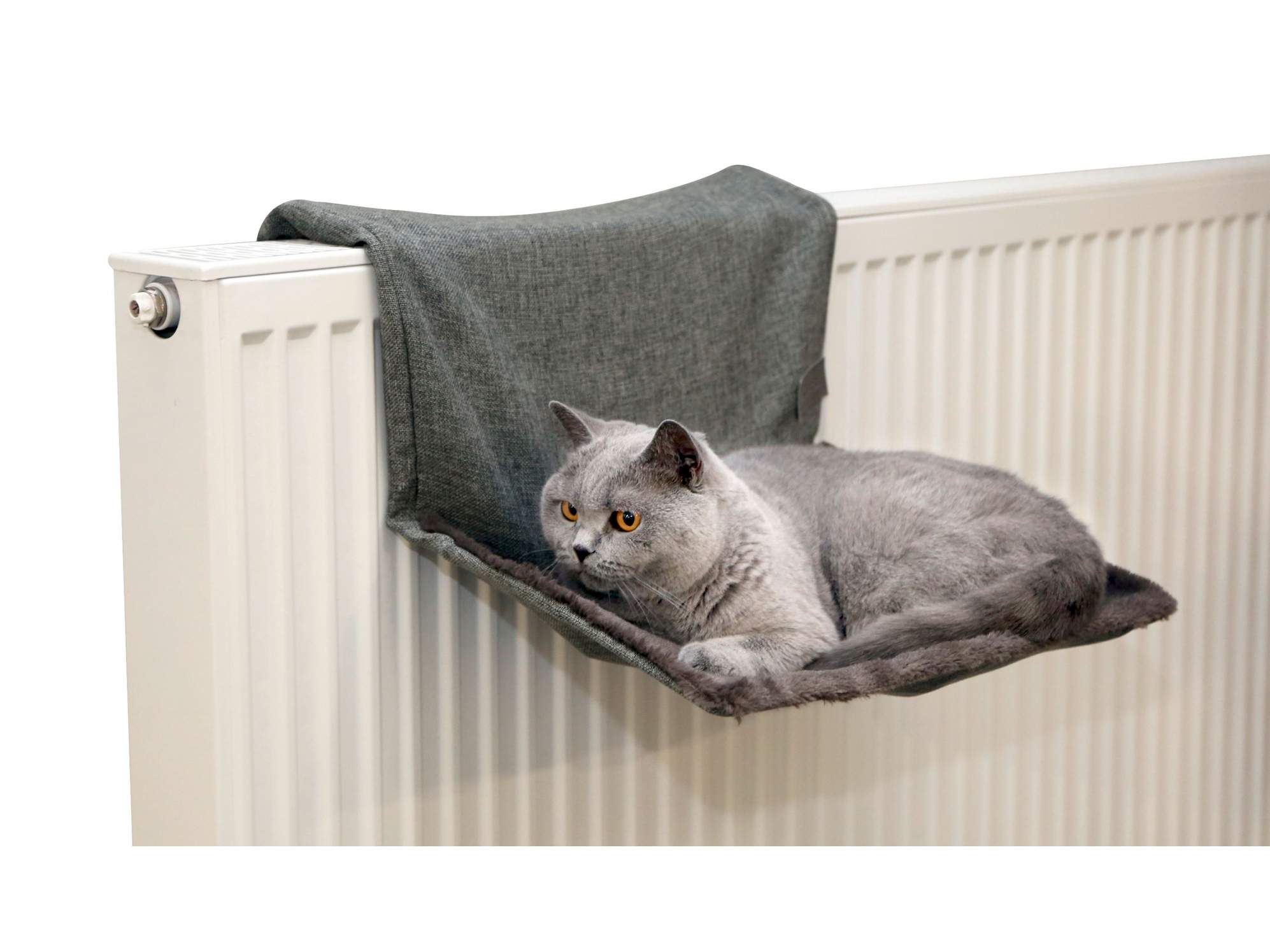 Cat Hammock Paradies