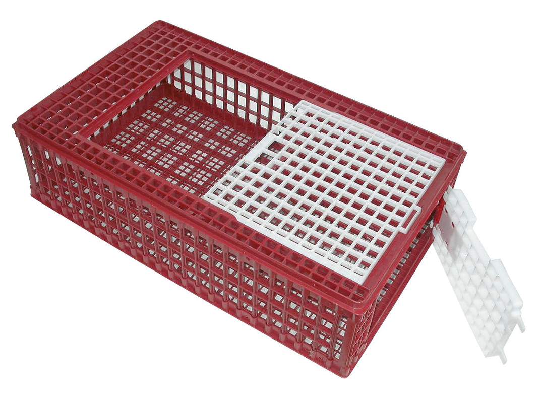 Poultry Transport Box