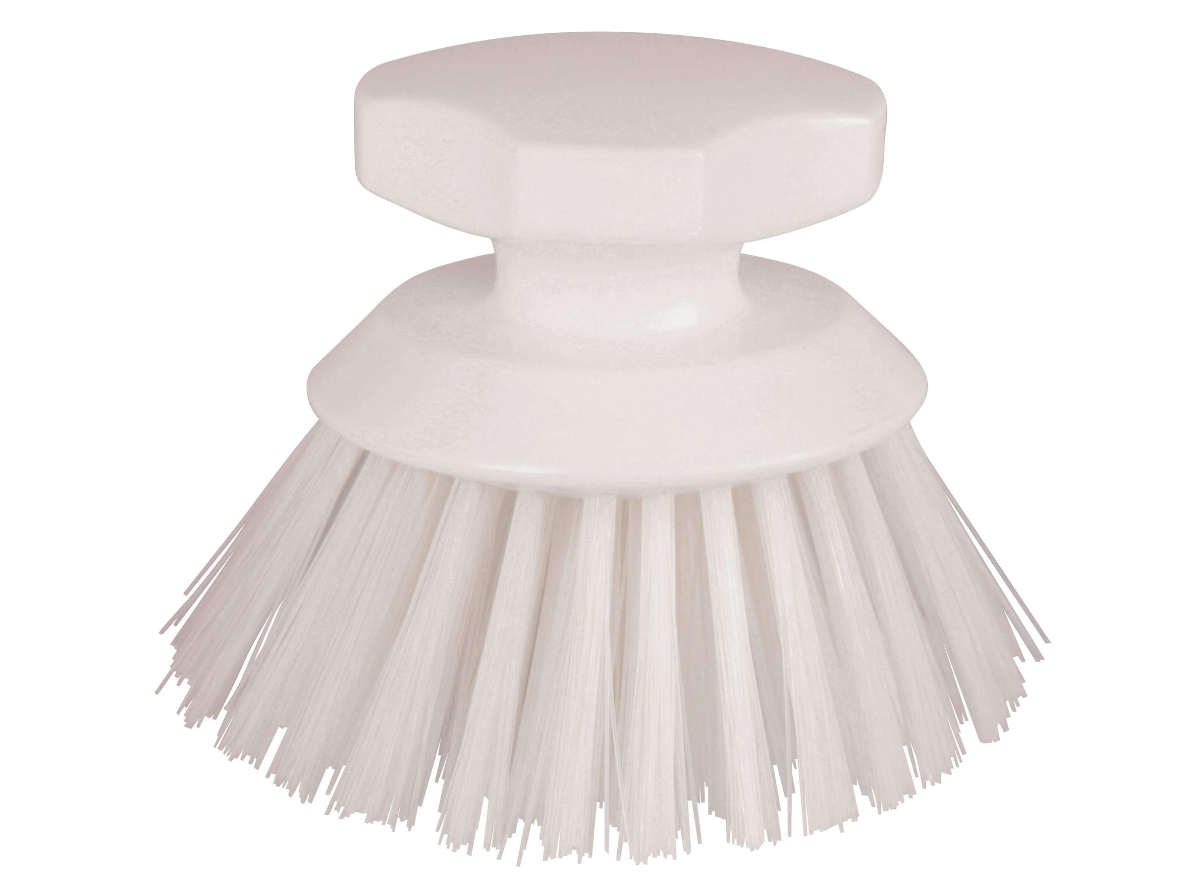 Round-headed Brush